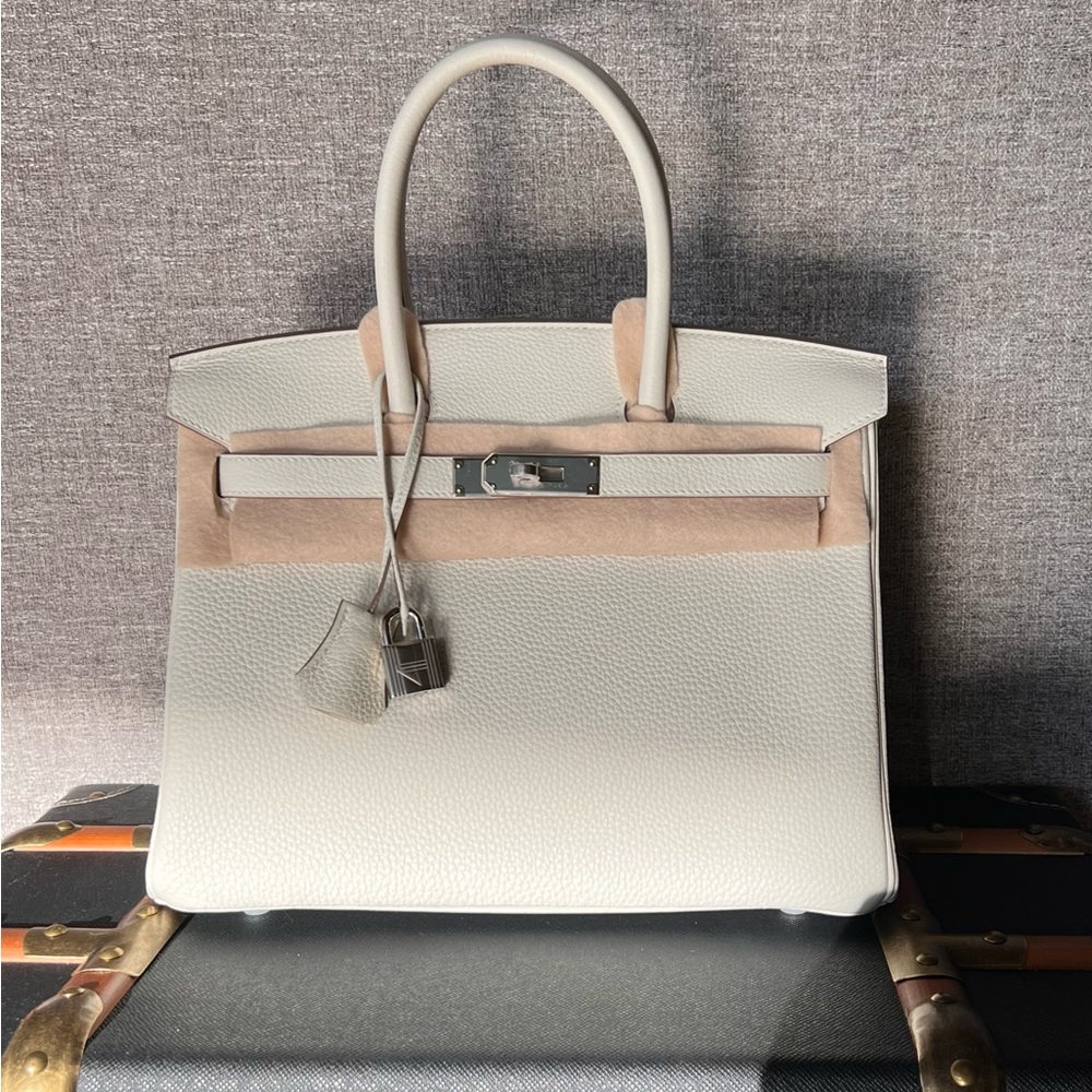Hermes Birkin 30 in Rare Mushroom Togo Leather with Palladium Hardware 2022